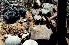 Bhujias God Budhadeo