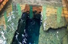 Water automatically flows out from the mother earth at Patalganga